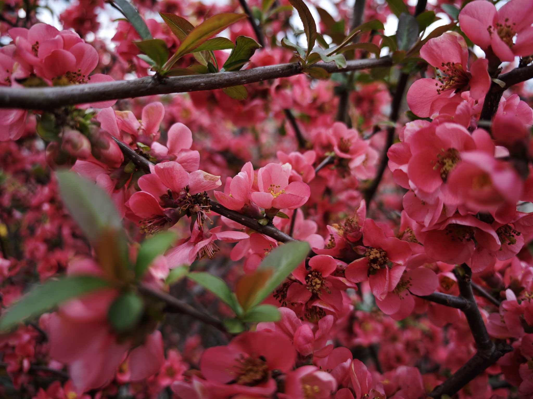 Ob Dnevu Zemlje več dogodkov pod okriljem KGLU