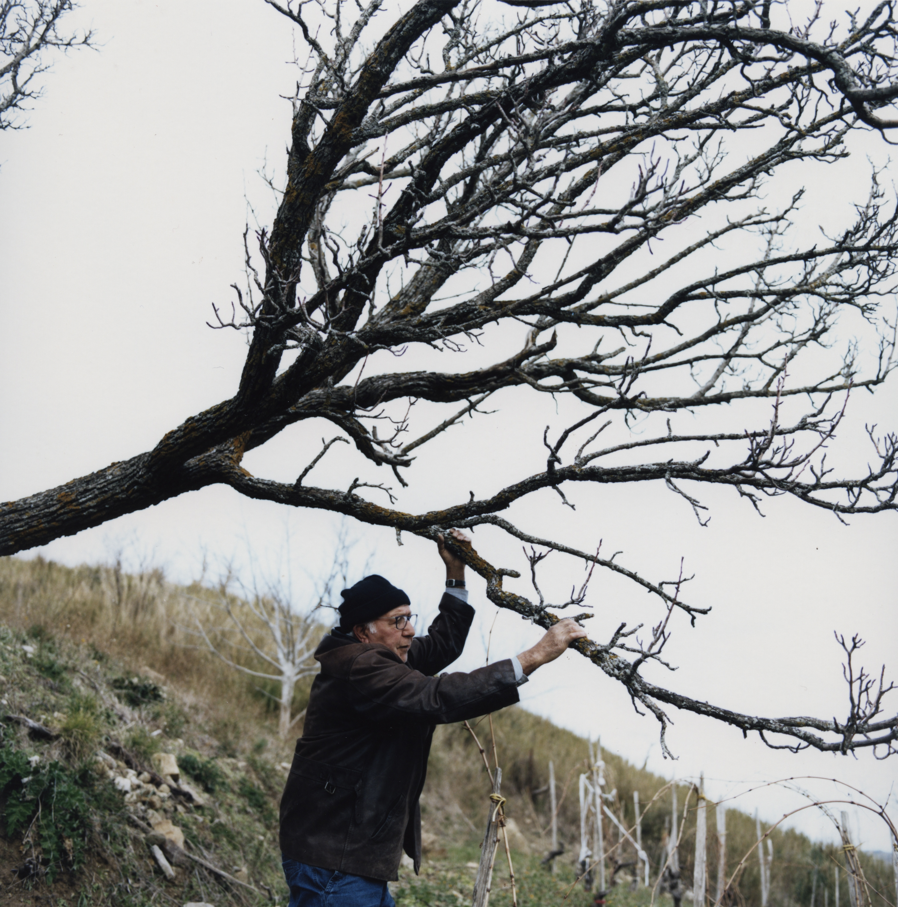 V KGLU bodo na ogled ''Sadeži, kot jih sanjajo sadjarji v zimskem času'' Gregorja Božiča