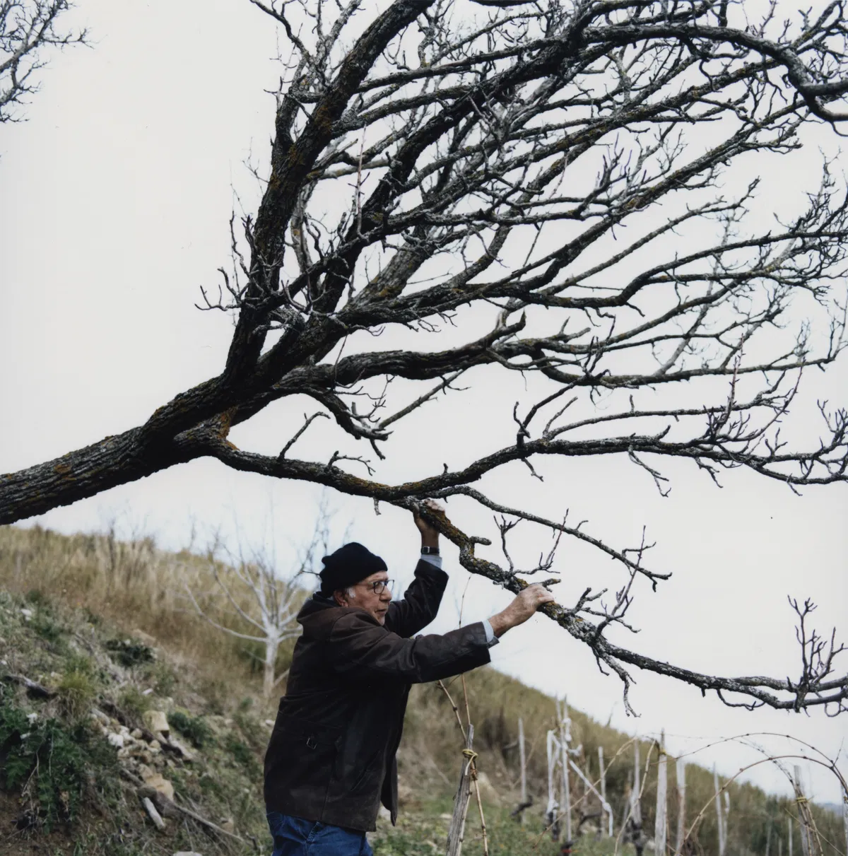 V KGLU bodo na ogled ''Sadeži, kot jih sanjajo sadjarji v zimskem času'' Gregorja Božiča