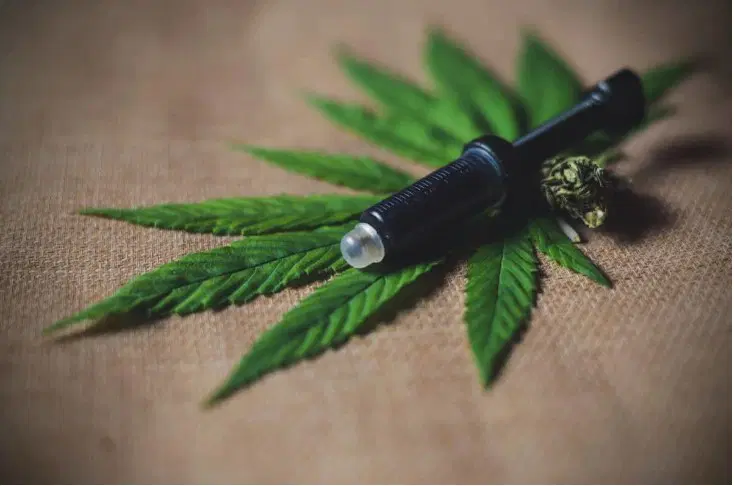 Pirati s protestom pozvali k popolni legalizaciji konoplje