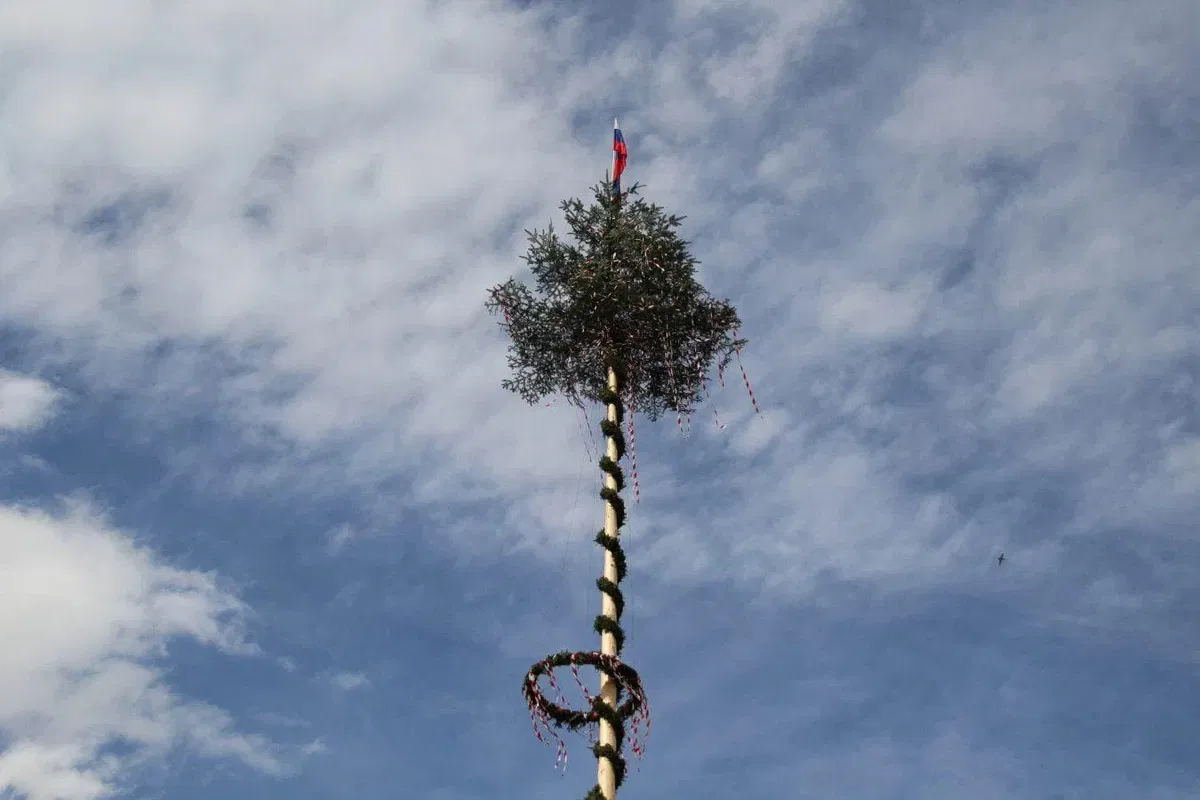 V Občini Ravne gasilci postavili štiri mlaje