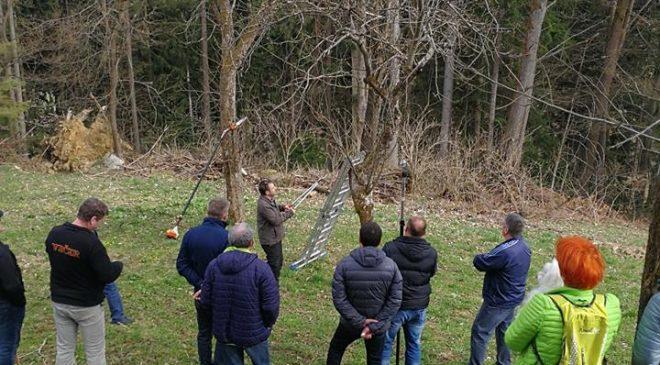 Danes vabljeni na obrezovanje sadovnjaka k Prežihovi bajti