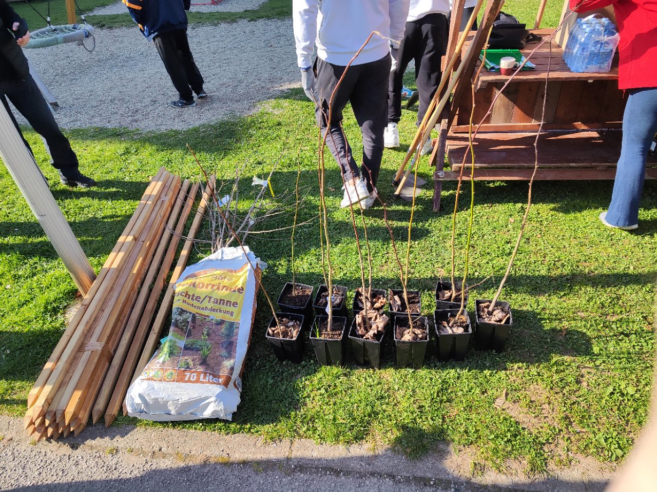 Ob svetovnem dnevu Zemlje v Slovenj Gradcu posadili 60 dreves (FOTO)