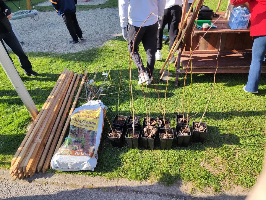 Ob svetovnem dnevu Zemlje v Slovenj Gradcu posadili 60 dreves (FOTO)