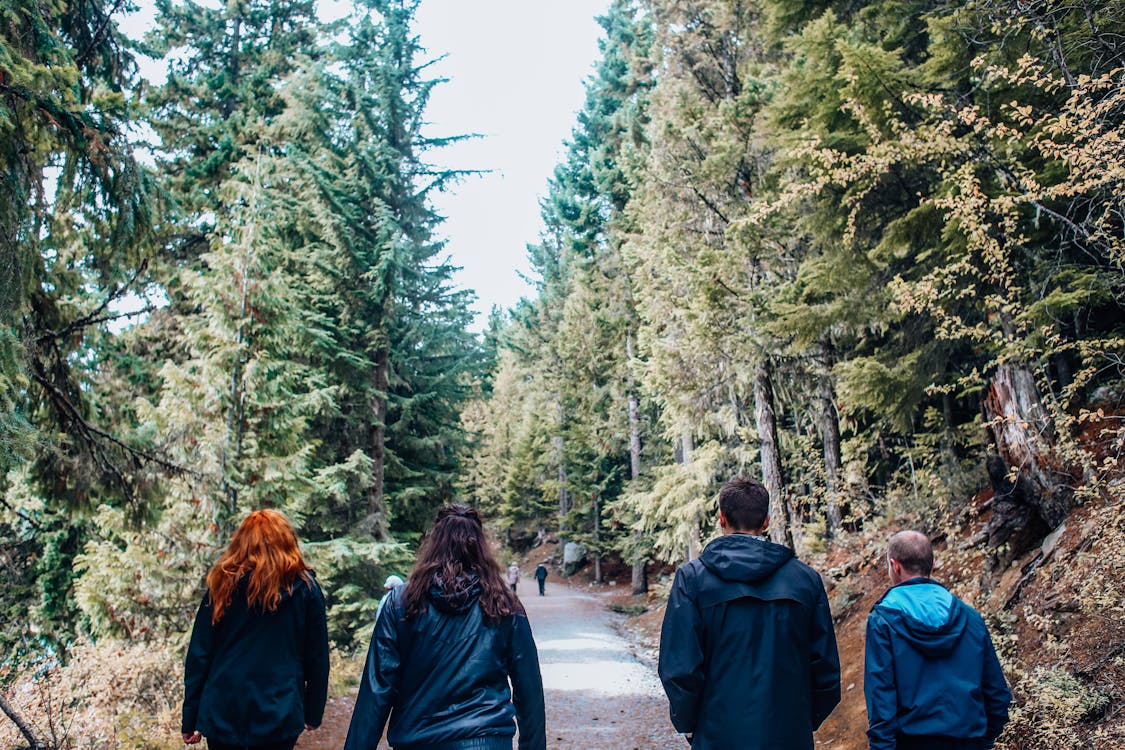PD Vuzenica in DU Vuzenica vabita vse pohodnike na Pohod za malo starejše