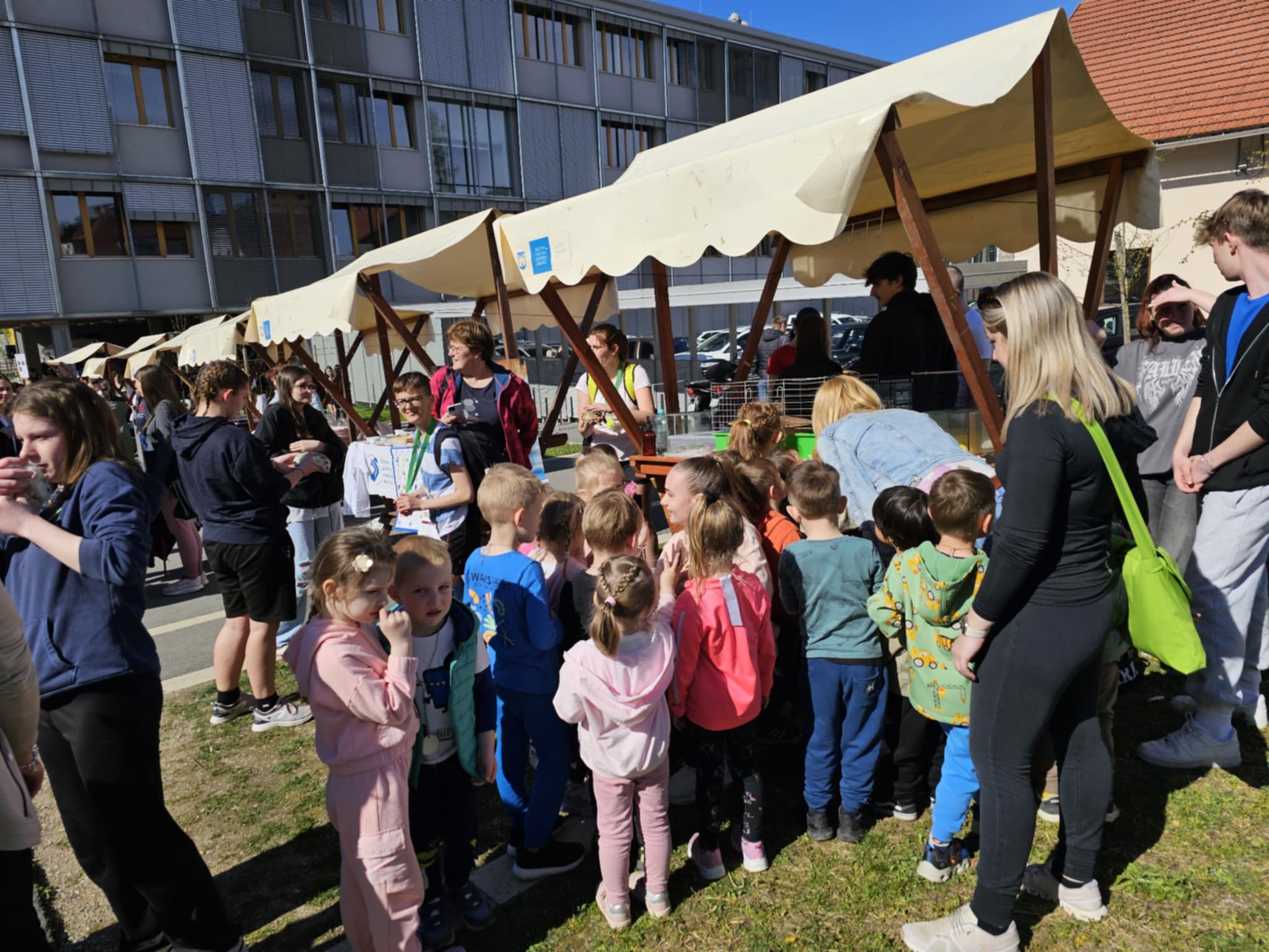 FOTO: Včeraj je v Slovenj Gradcu potekal Tek zdravja – praznik gibanja, povezanosti in veselja