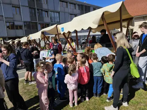 FOTO: Včeraj je v Slovenj Gradcu potekal Tek zdravja – praznik gibanja, povezanosti in veselja