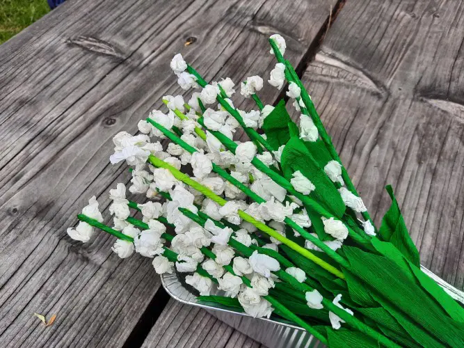 Prihaja Festival solzic, poklon Koroški