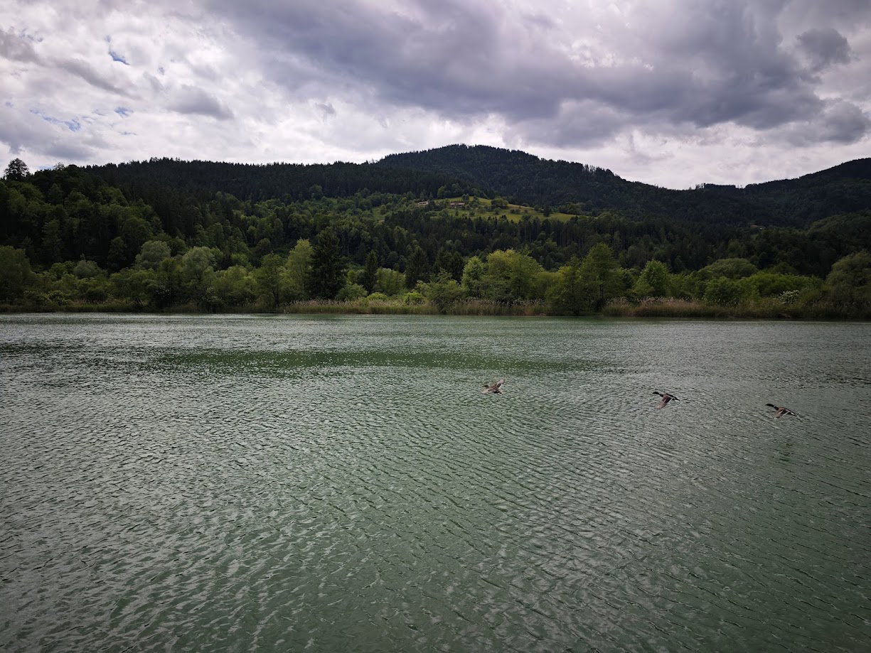 Dravske elektrarne zaključile večletno prenovo sekundarnih sistemov treh elektrarn 