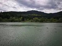 Dravske elektrarne zaključile večletno prenovo sekundarnih sistemov treh elektrarn 