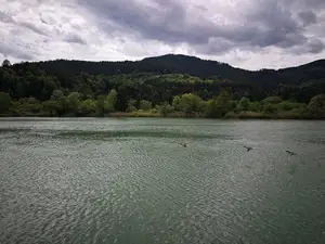 Dravske elektrarne zaključile večletno prenovo sekundarnih sistemov treh elektrarn 