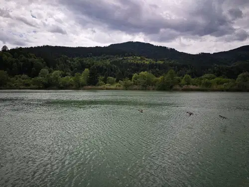 Dravske elektrarne zaključile večletno prenovo sekundarnih sistemov treh elektrarn 