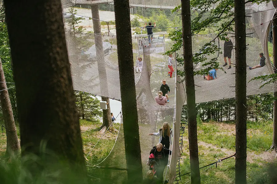 Adrenalinski park na Kopah zopet vabi – doživi pustolovščino med krošnjami