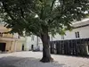 Otroci v stiski imajo na Ravnah novo zatočišče