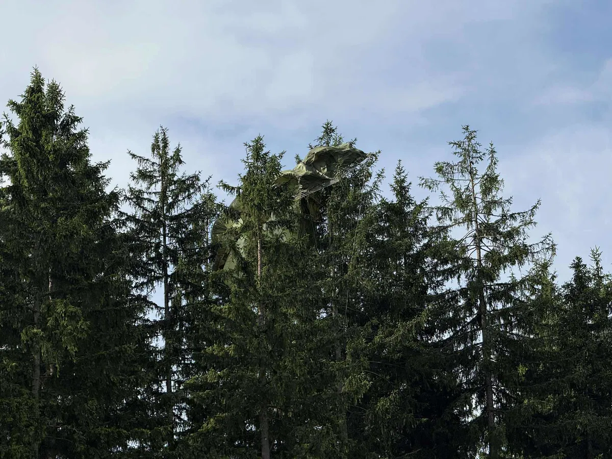 FOTO: V Mislinjski Dobravi je padalec obvisel na drevesu