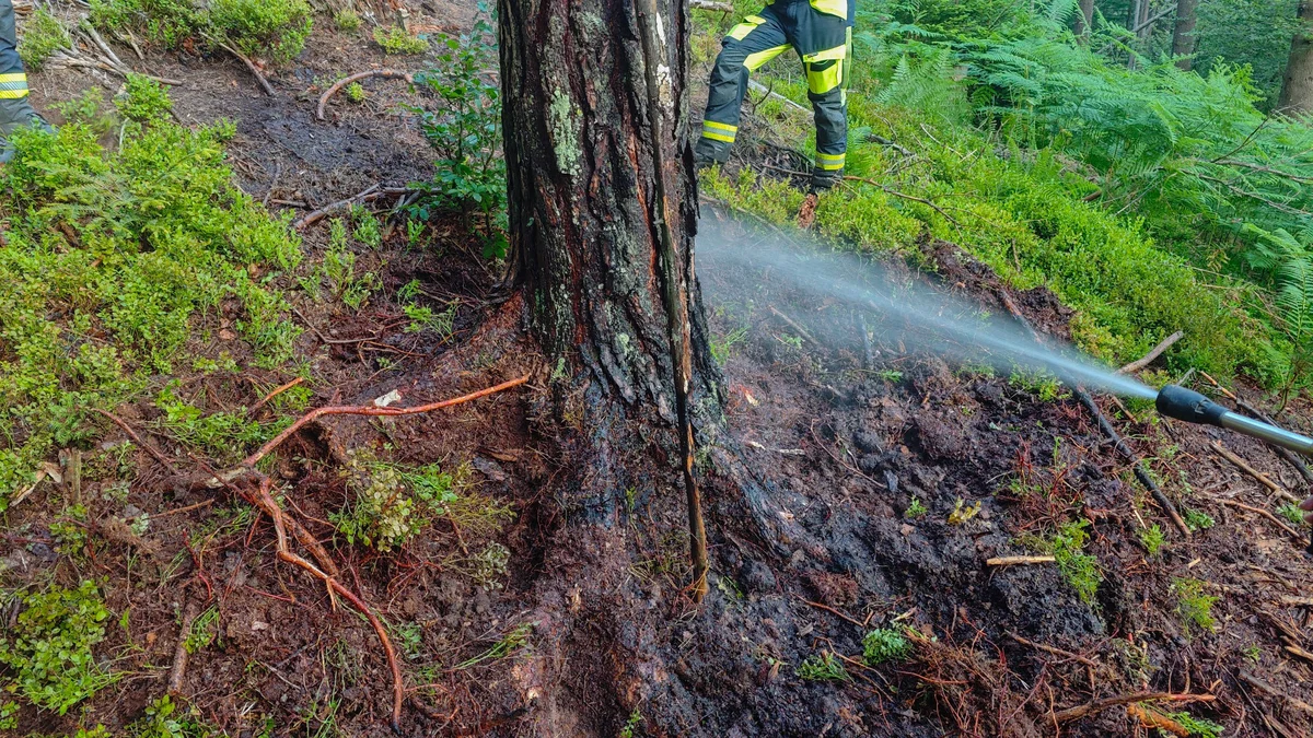 Koroški gasilci znova posredovali pri gozdnem požaru in požaru na balkonu (FOTO)