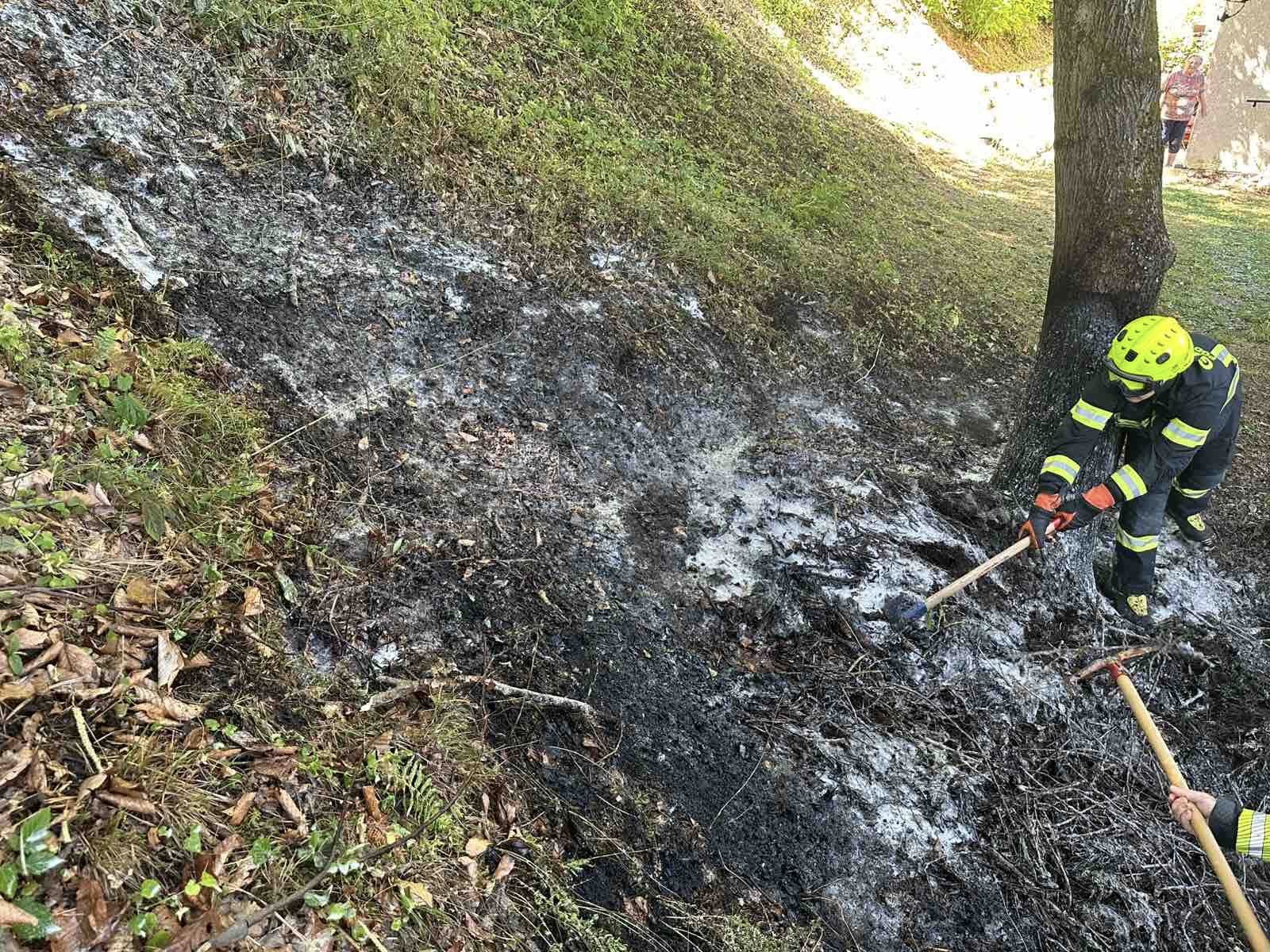 Na Prevaljah zagorelo, požar v gozdu pogasili gasilci