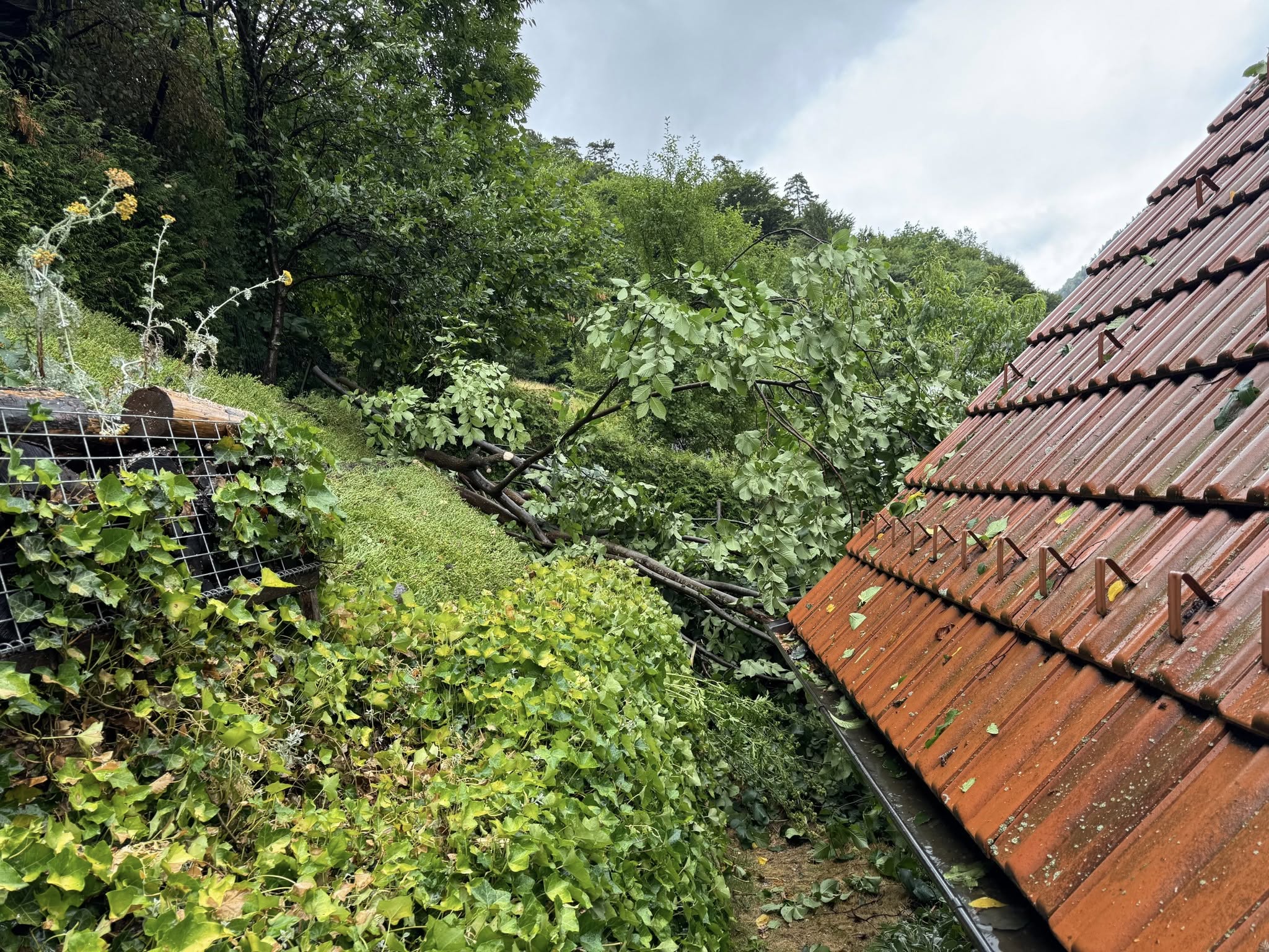 Na hišo v Dravogradu padlo drevo, gasilci priskočili na pomoč