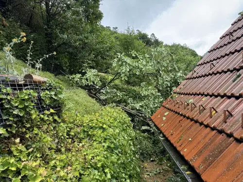 Na hišo v Dravogradu padlo drevo, gasilci priskočili na pomoč