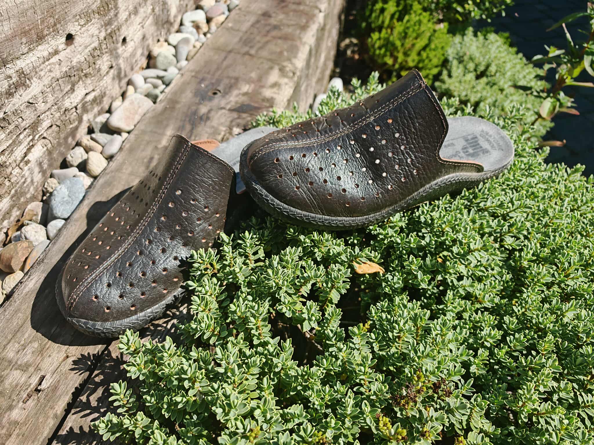 Natikači, ki so osvojili mlade: Kako so ''jazbečarke'' postale kulturni fenomen