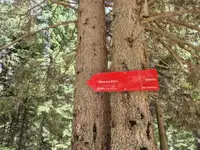 Med prazničnim vikendom vabi Dom na Peci