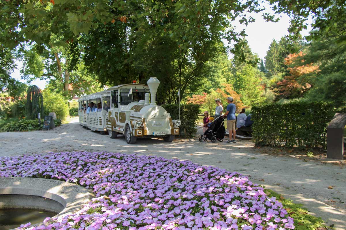 Arboretum Volčji potok - spomenik, izletniška točka in kraj, kjer se spočije duša