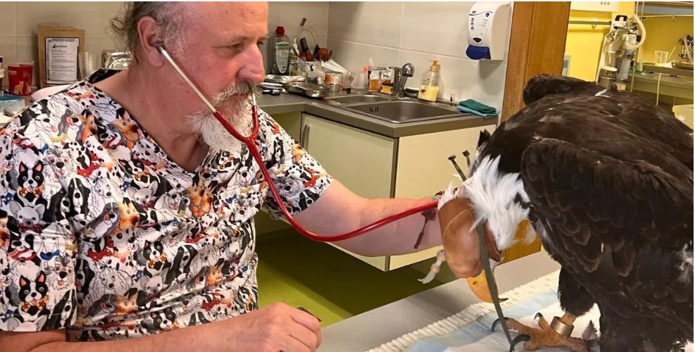 Veterinar Zlatko Golob – varuh tistih, ki ne znajo prositi za pomoč