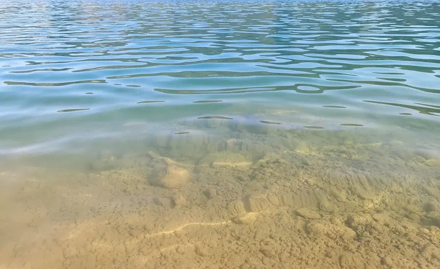 Analiza vode v Bohinjskem jezeru potrdila potencialno strupene cianobakterije