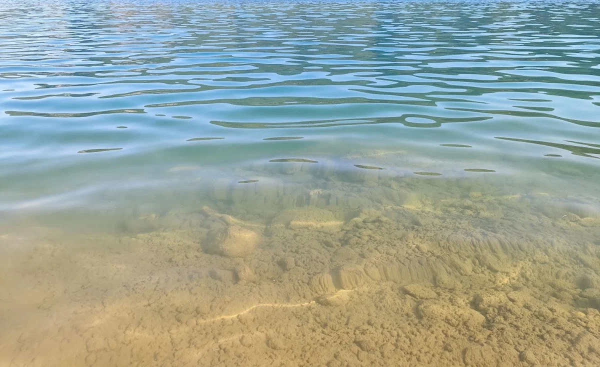 Analiza vode v Bohinjskem jezeru potrdila potencialno strupene cianobakterije