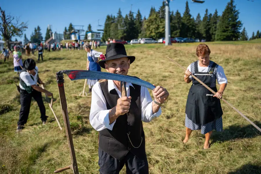 Košnja pohorskih planj na star način na Rogli jutri vabi k obisku
