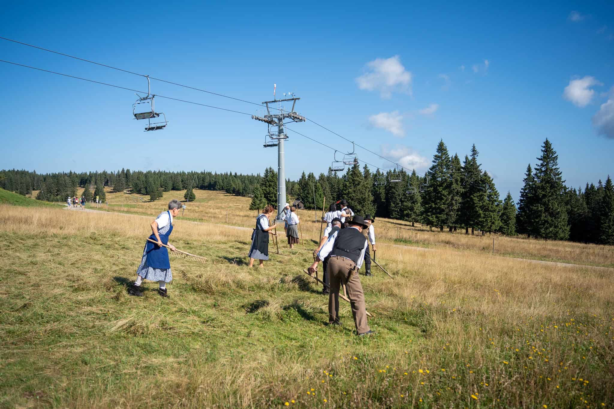 Dogodek košnja pohorskih planj na star način na Rogli je  prestavljen