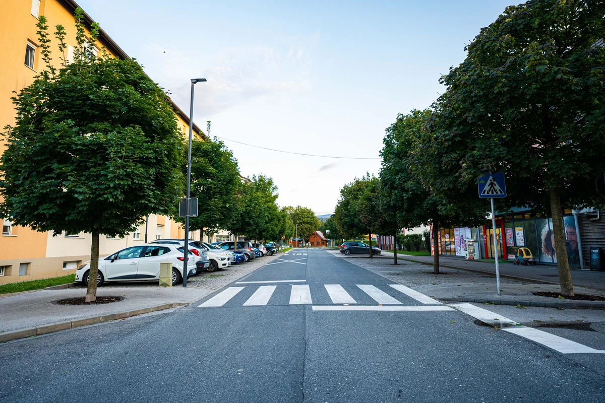 Ob kulturnem prazniku čudovit program na Muti