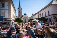 Slovenj Gradec razvojno najbolj prodorna občina v Sloveniji