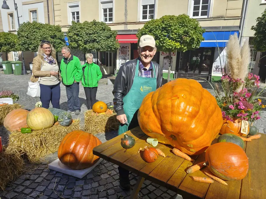 FOTO: Jesenska tržnica generacij v Slovenj Gradcu z odlično ponudbo