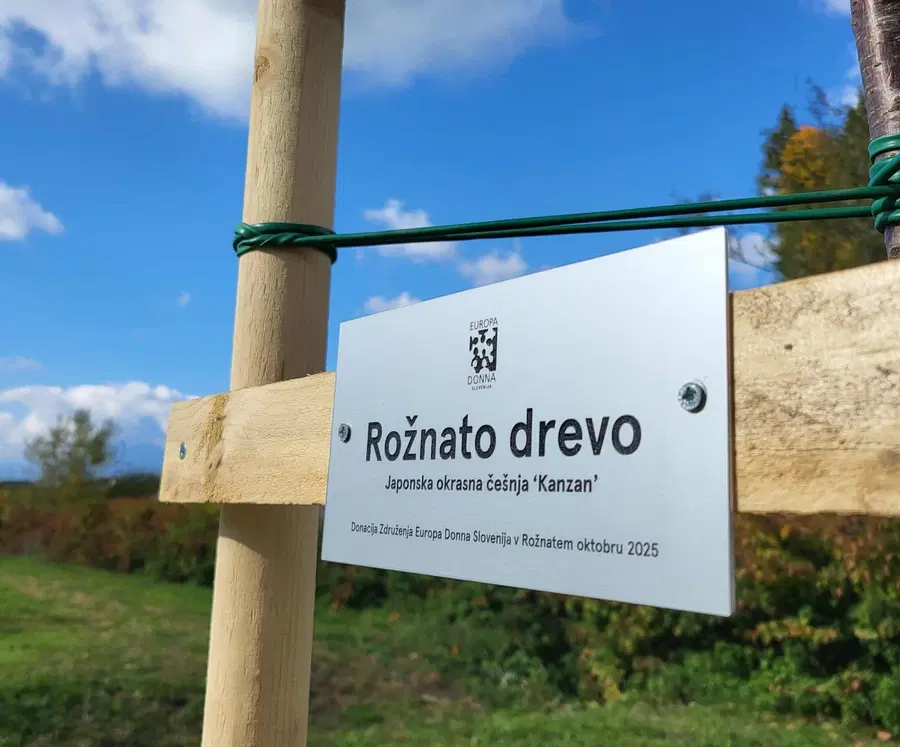 V okviru rožnatega oktobra v Mislinji posadili drevo upanja in ozaveščanja