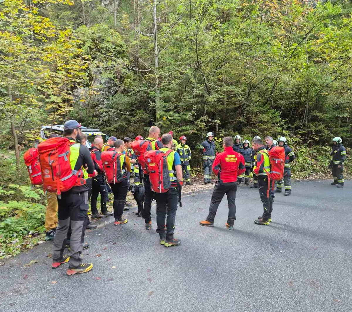 FOTO: Vaja iskanja pogrešane osebe v Mežici uspešno izvedena