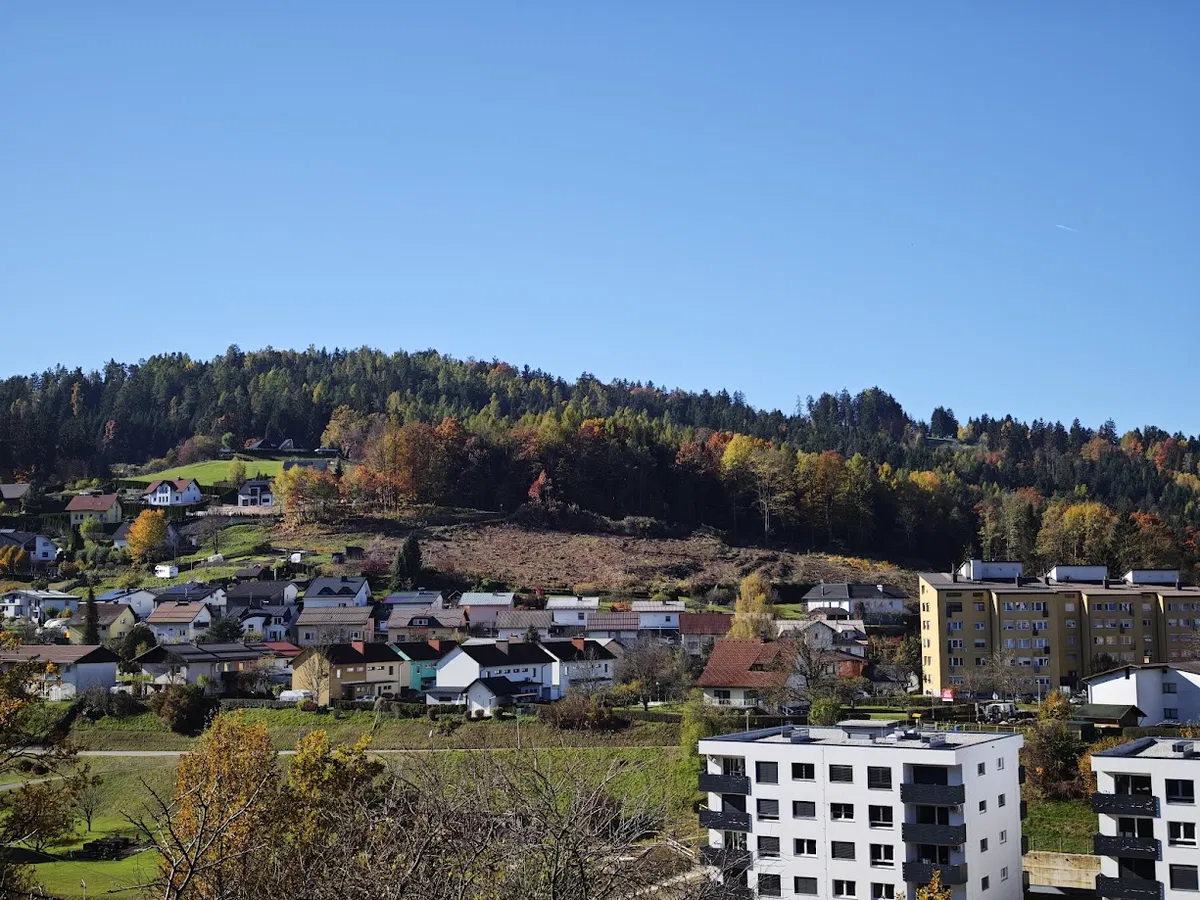Rožen: Interesa za Čečovje - jug je dovolj, gradnja hiš bi lahko stekla že kmalu (VIDEO)