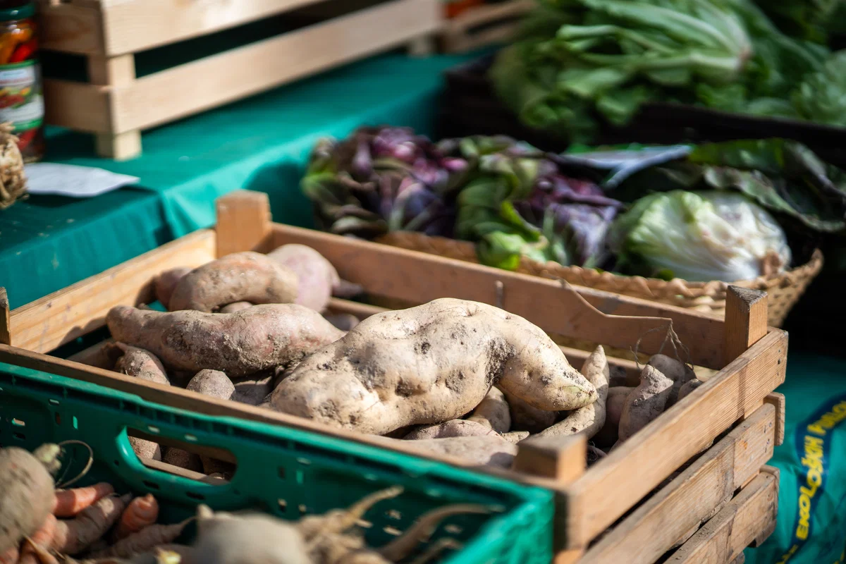 V sredo bodo v Slovenj Gradcu na okrogli mizi razpravljali na temo prehranske samooskrbe