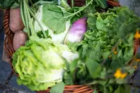 V KGZS pozdravljajo odločitev za skupno oblikovanje ukrepov na prehranskem področju