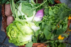 V KGZS pozdravljajo odločitev za skupno oblikovanje ukrepov na prehranskem področju