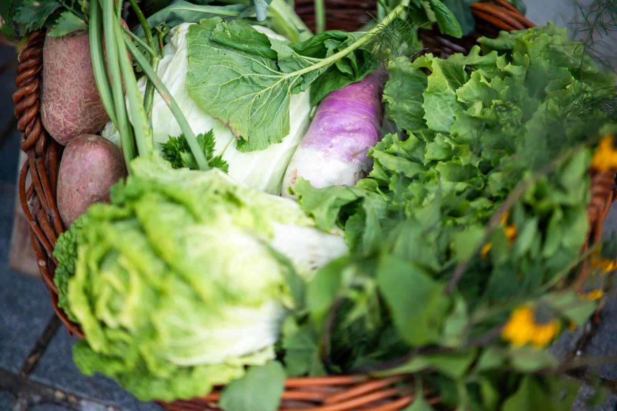 V KGZS pozdravljajo odločitev za skupno oblikovanje ukrepov na prehranskem področju