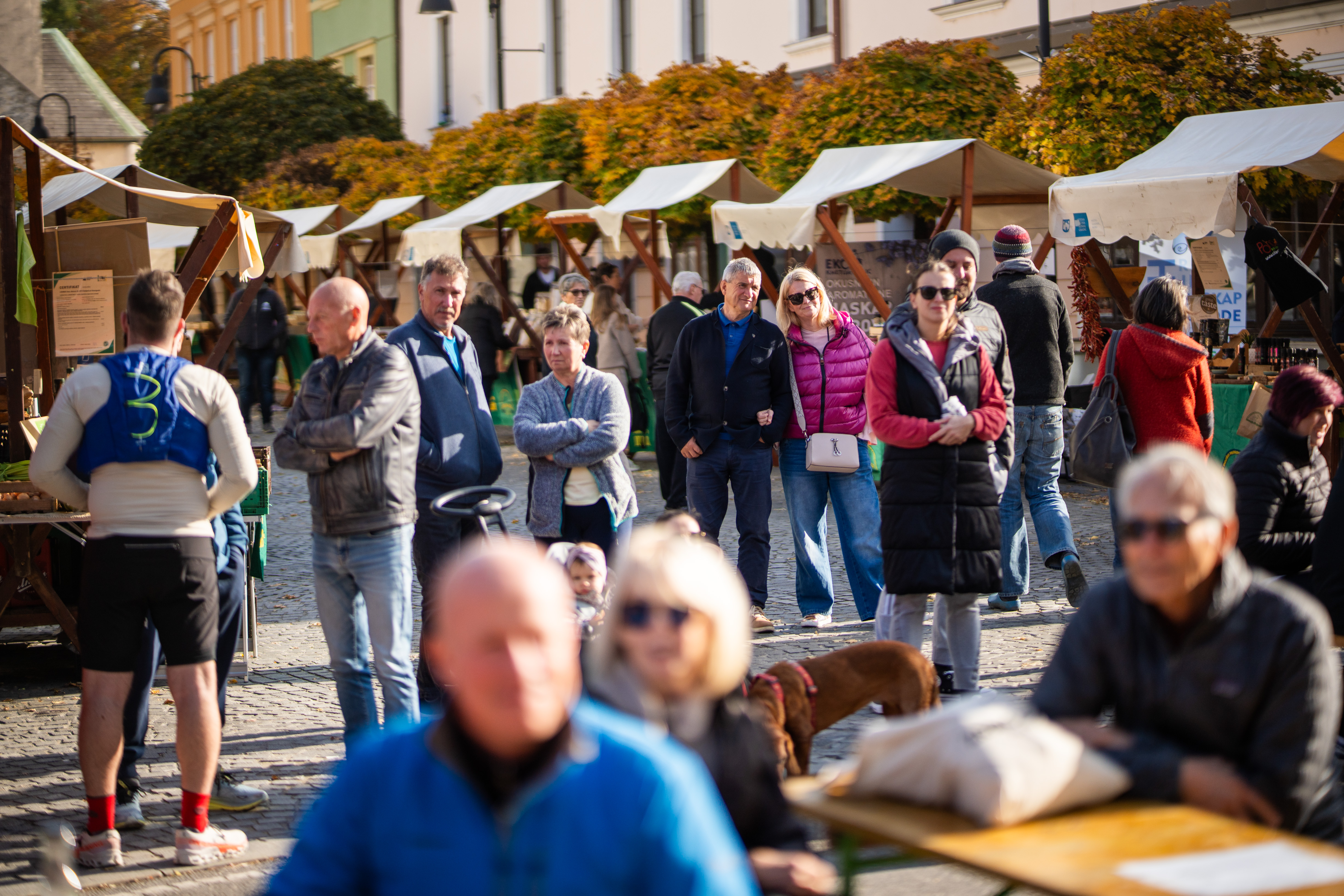 VIDEO in FOTO: Ekofestival v Slovenj Gradcu ob lepem vremenu napolnil mesto in navdušil obiskovalce