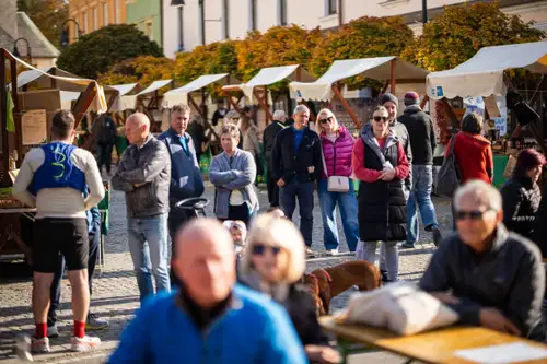 VIDEO in FOTO: Ekofestival v Slovenj Gradcu ob lepem vremenu napolnil mesto in navdušil obiskovalce