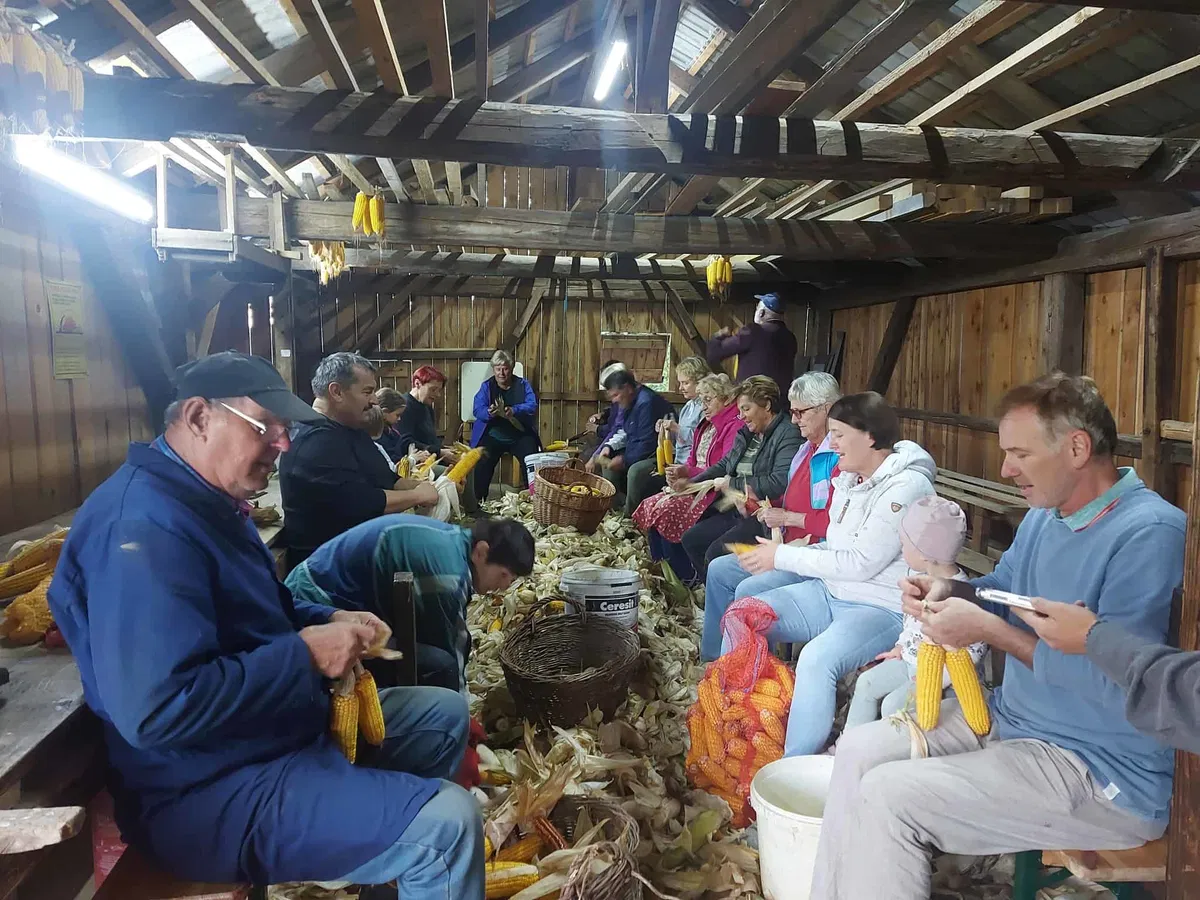 V Tomaški vasi še ohranjajo tradicionalno druženje ob ličkanju koruze