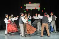 Ples, glasba in običaji: To nedeljo Maroltovo srečanje odraslih folkloristov Koroške v Črni