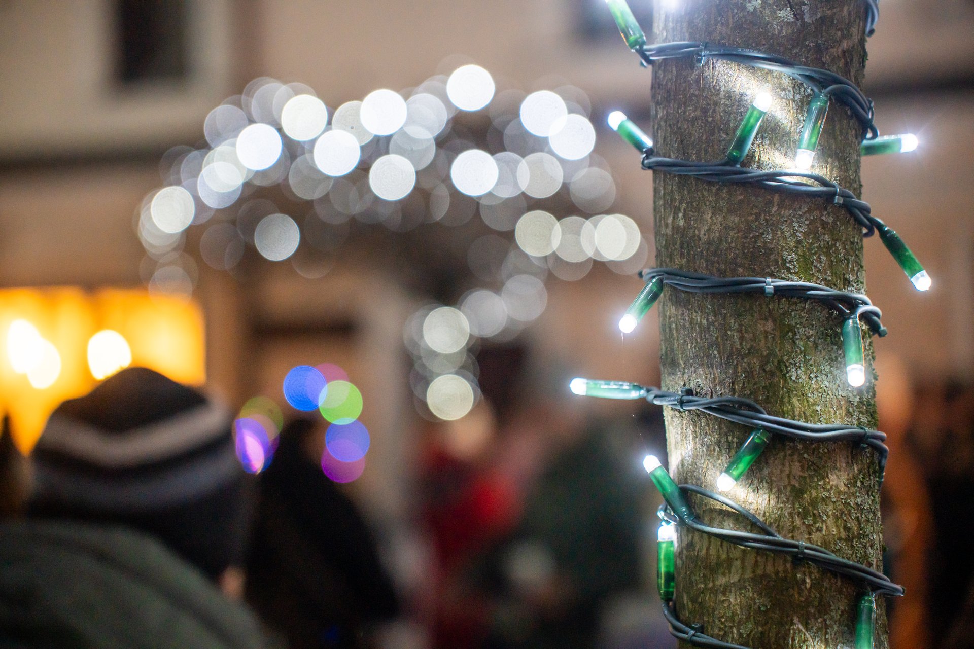 V Črni bodo od posebnem obisku danes prižgali praznične luči