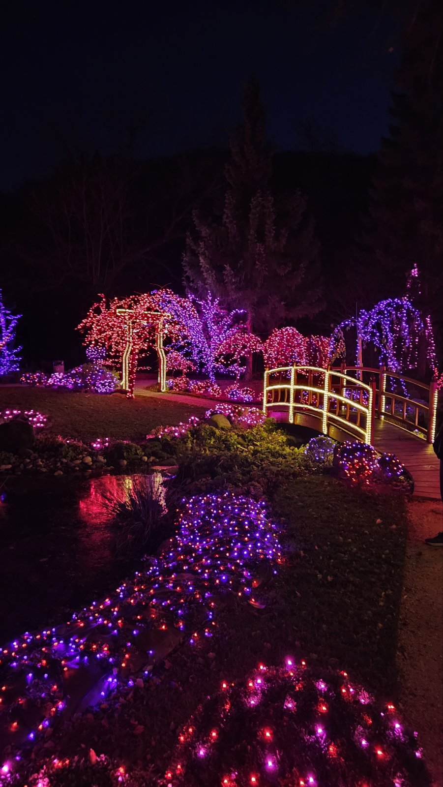 Najbolj spektakularna Božična bajka Slovenije v Mozirskem gaju odprla svoja vrata
