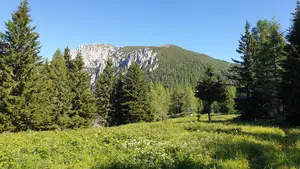 Dom na Peci vas tekom počitnic pričakuje odprtih vrat